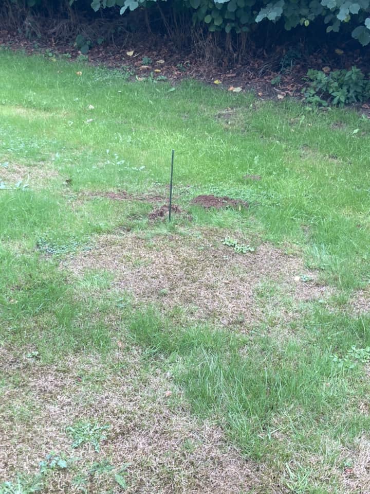 On Point Pest Solutions | Leighton Buzzard