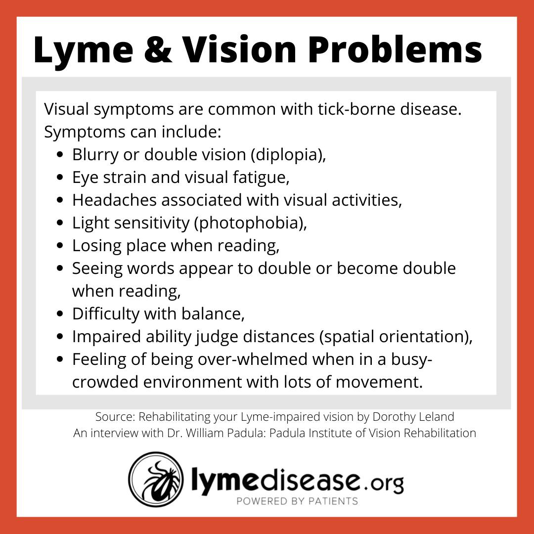 Lyme disease and vision loss rehabilitation