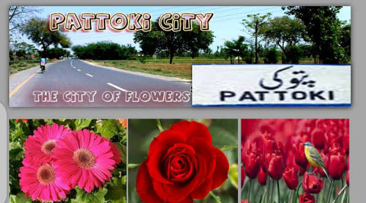 City of Flowers Pattoki