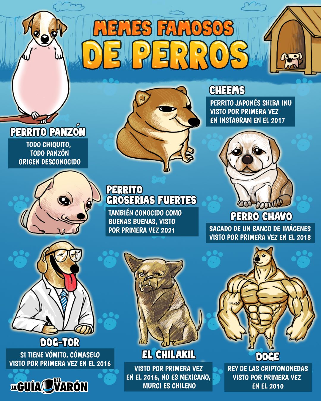 Los perritos memes son lo mejor - La Guía Del Varón
