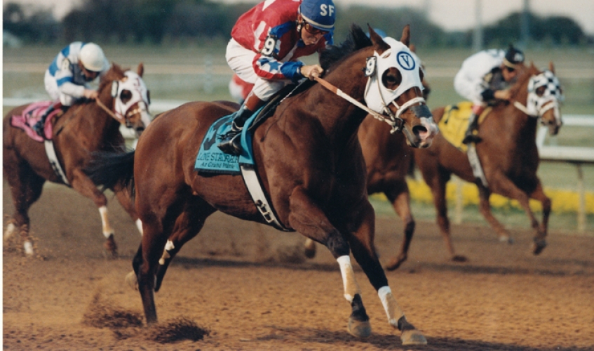 Q-Racing - Tailor Fit (pictured at Lone Star Park) is the... | Facebook