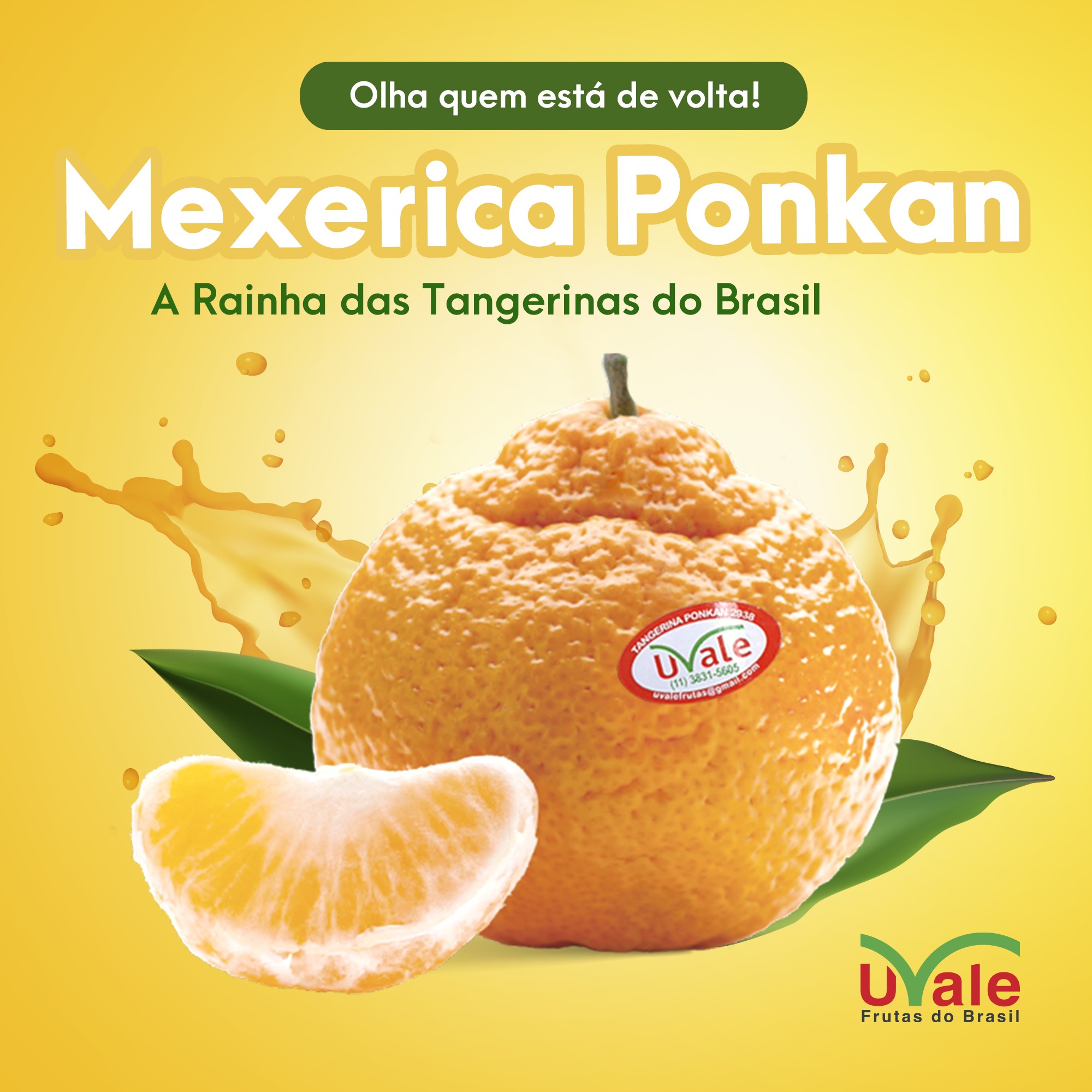 A Uvale Frutas do Brasil incluiu... - Uvale Frutas do Brasil