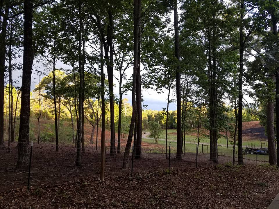Ridge Top Farm