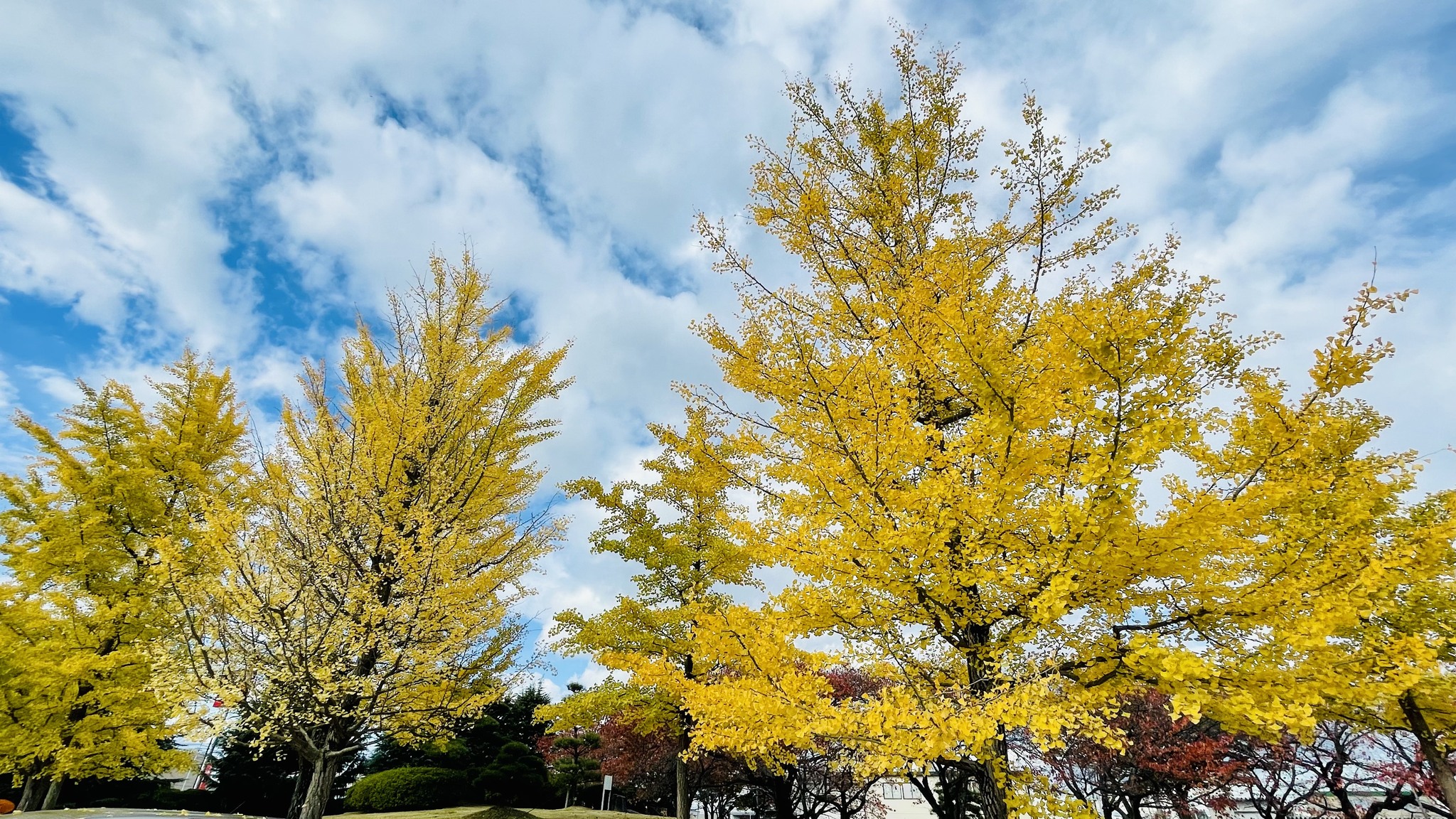 東海大学 札幌キャンパス - 東海大学 札幌キャンパス added a new photo.