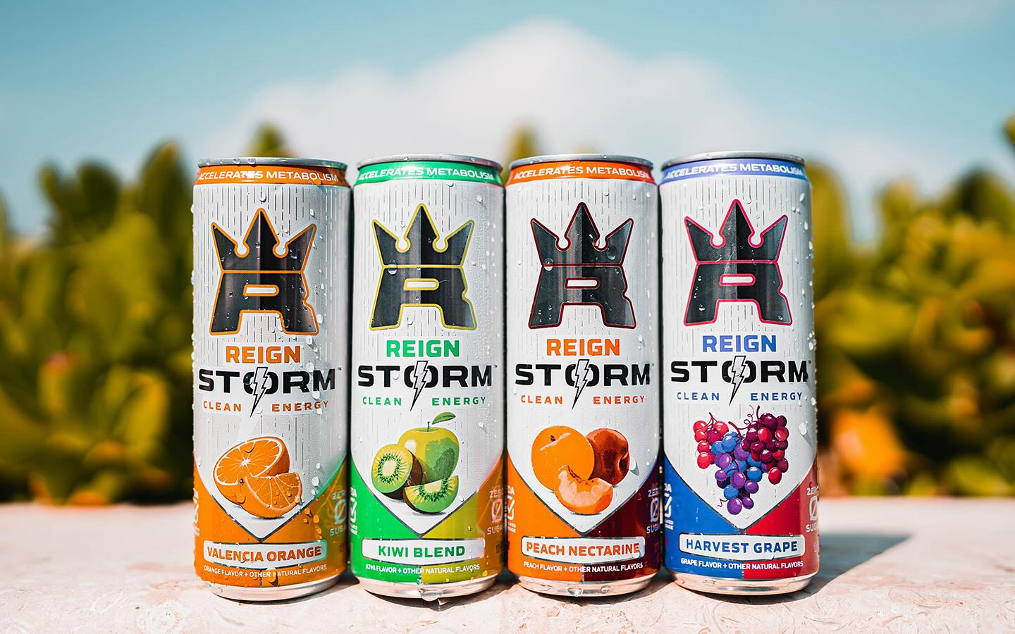 reign-storm-plant-based-a-a-tecumseh-convenience-facebook