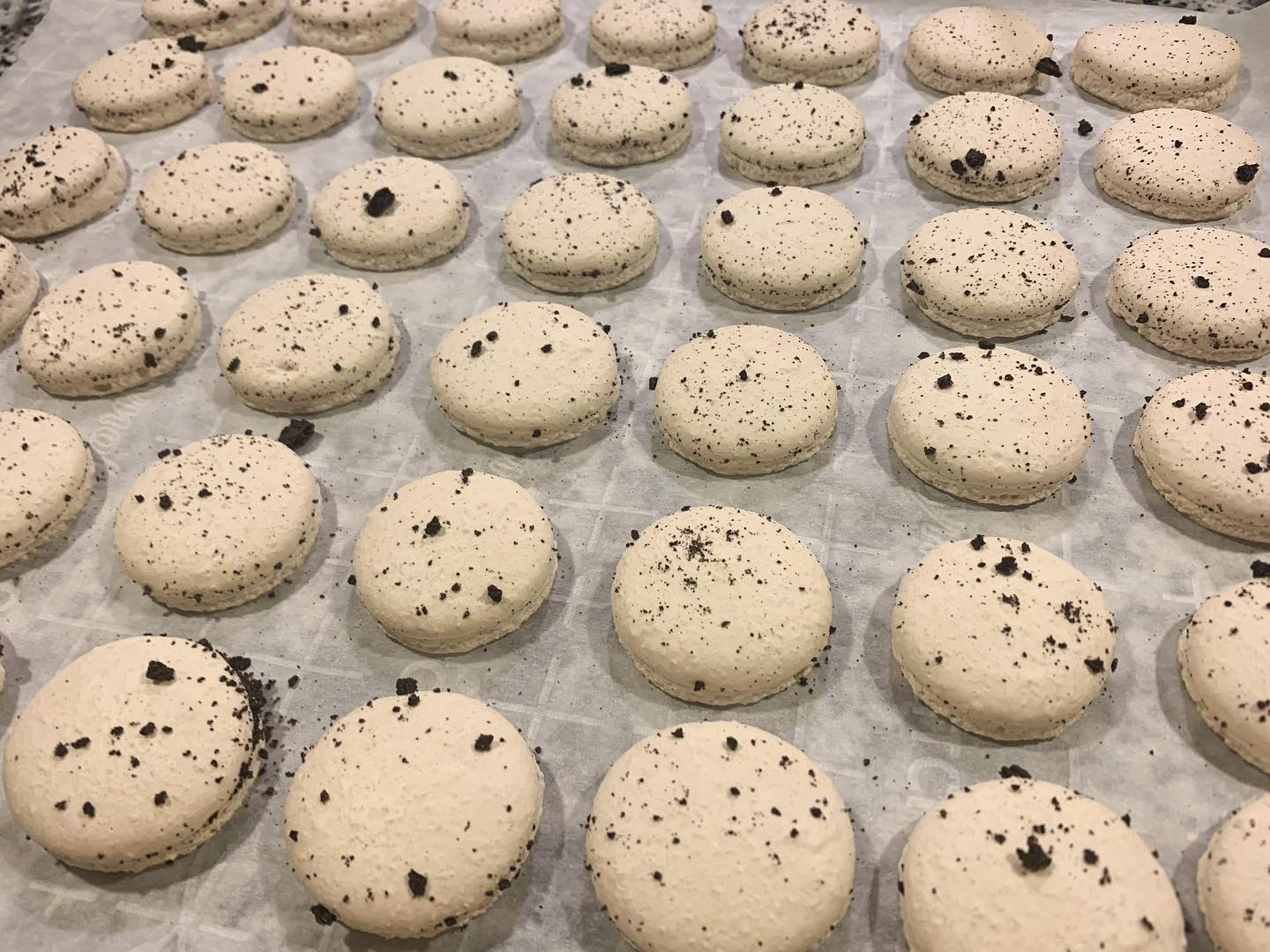 The Crowned Macaron | The Colony TX