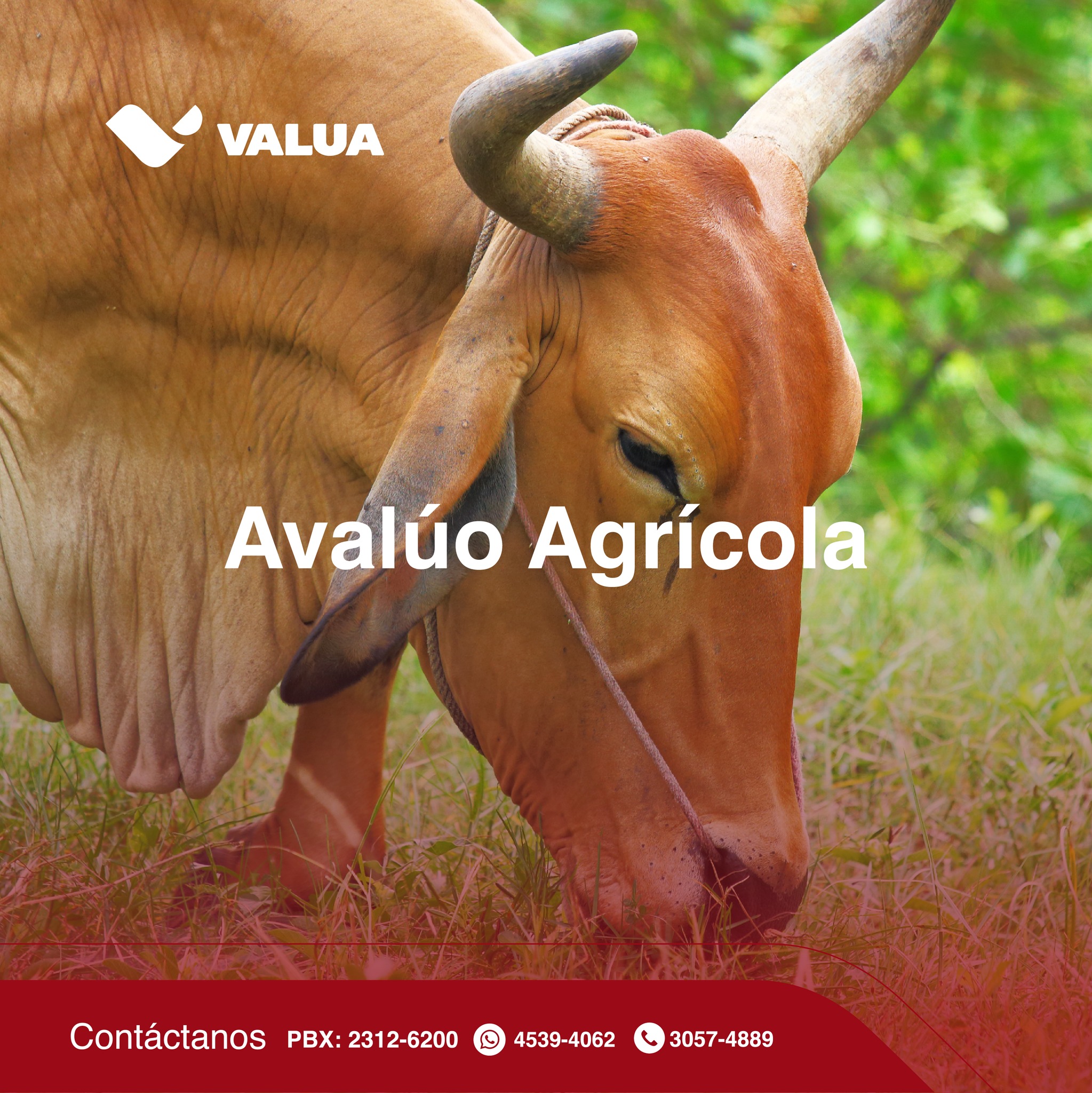 VALUA - En VALUA contamos con sedes en puntos estratégicos... | Facebook