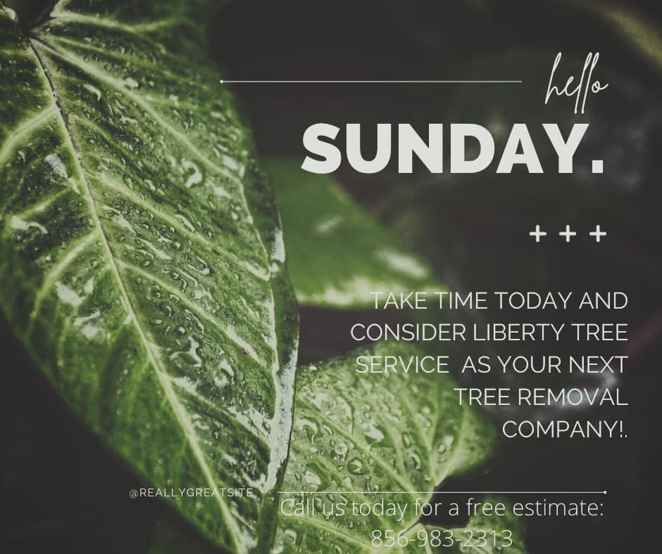 Liberty Tree Service LLC