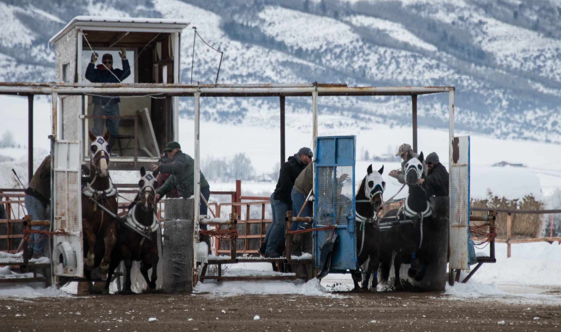 All... - All American Cutter/Chariot Races - Afton, WY