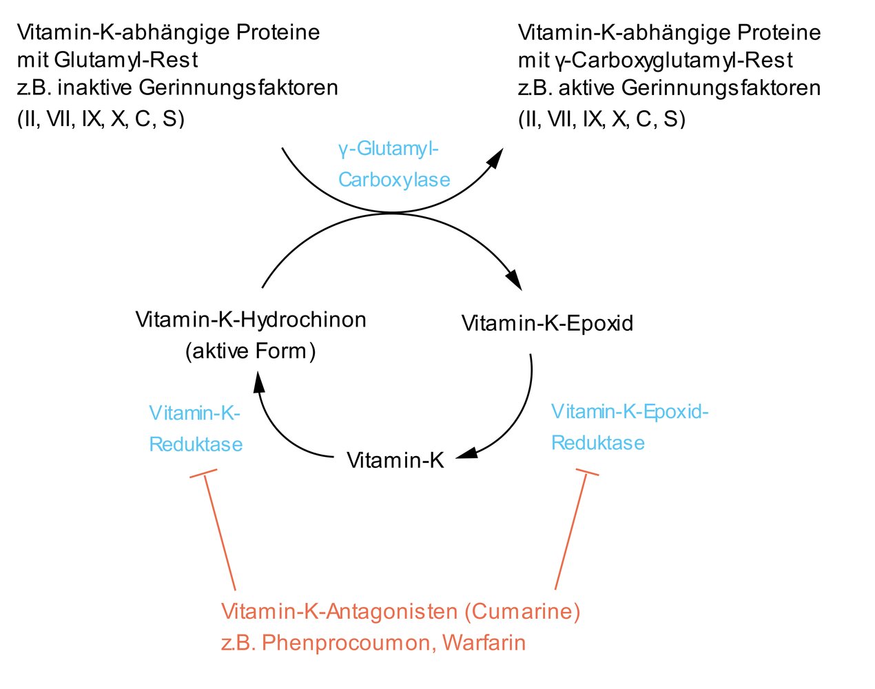 glutathione and warfarin 6 Blood Thinner Interactions: Medications Supplements to Avoid 𝐒𝐮𝐛𝐭𝐡𝐞𝐫𝐚𝐩𝐞𝐮𝐭𝐢𝐜 𝐈𝐍𝐑𝐬 𝐢𝐧 𝐏𝐚𝐭𝐢𝐞𝐧𝐭𝐬 𝐨𝐧