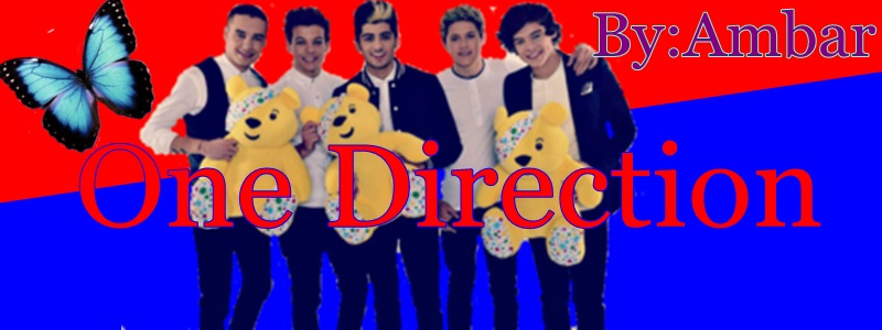 One Direction Infection