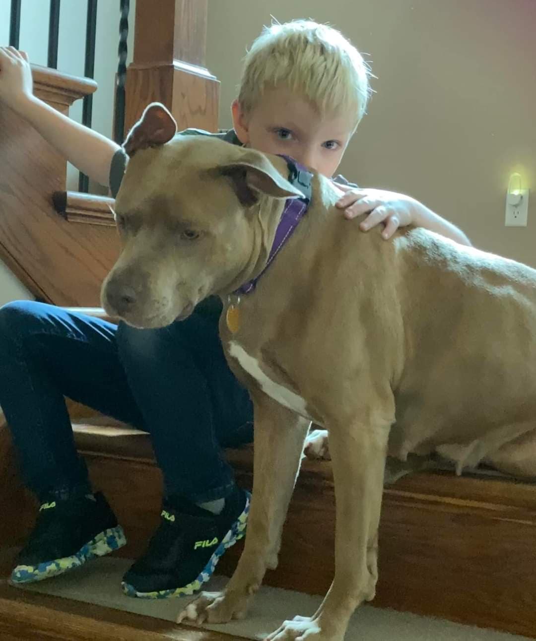 Adopt Peaches, a 3-year-old pit bull with great personality