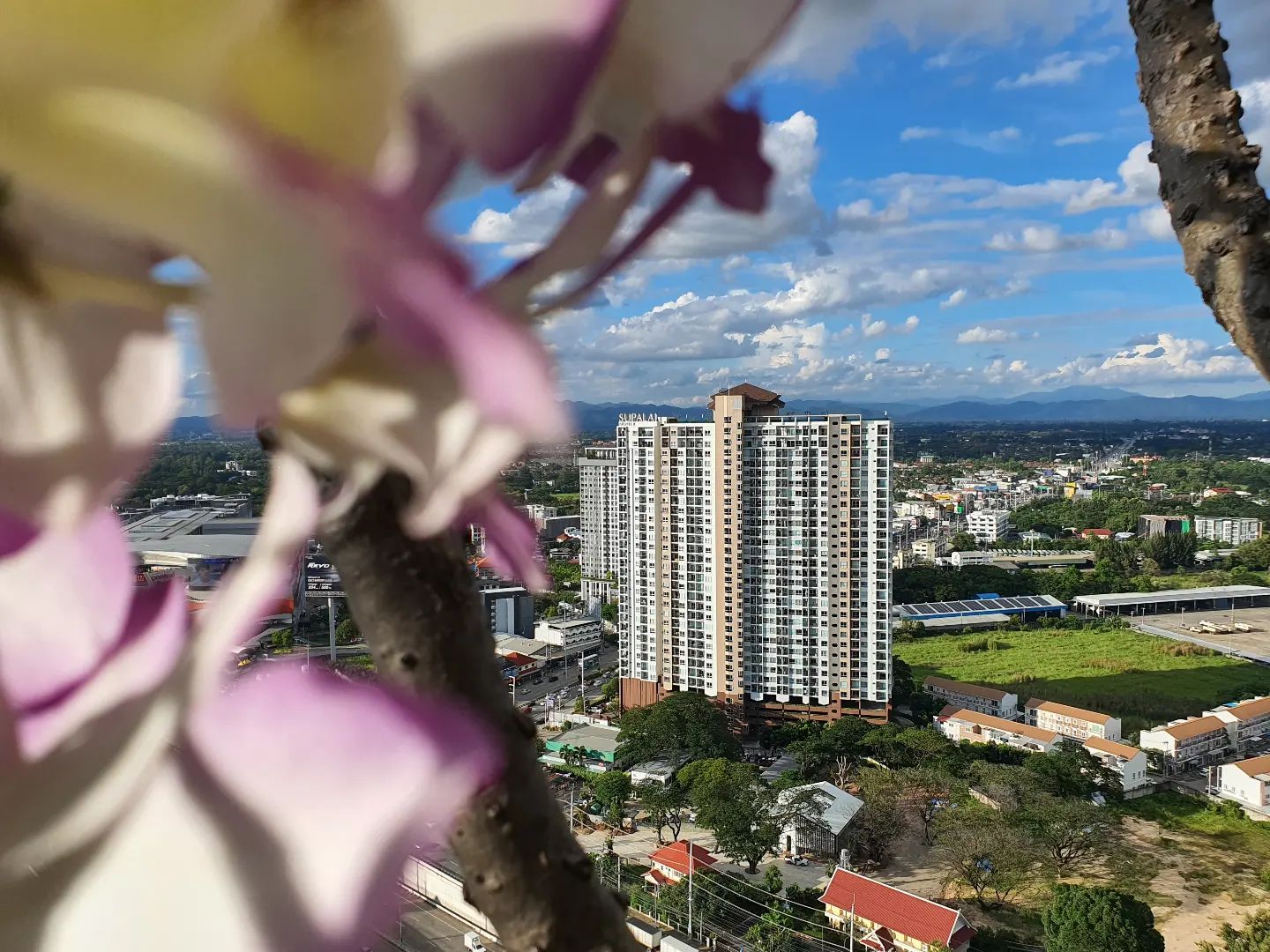 Rampan - Rampan added a new photo.