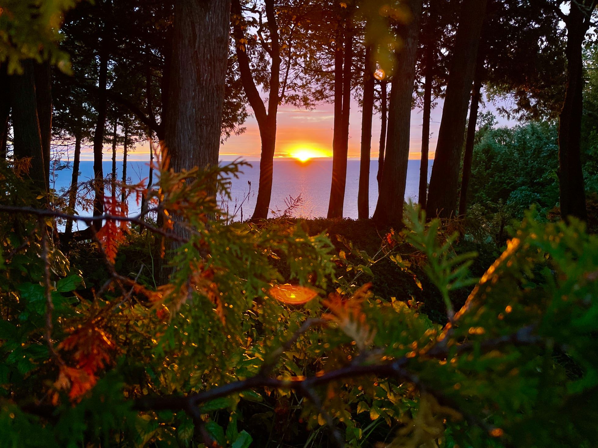 Michigan in Pictures - ONE THOUSAND MICHIGAN SUNRISES Sunrise 1,000 by ...