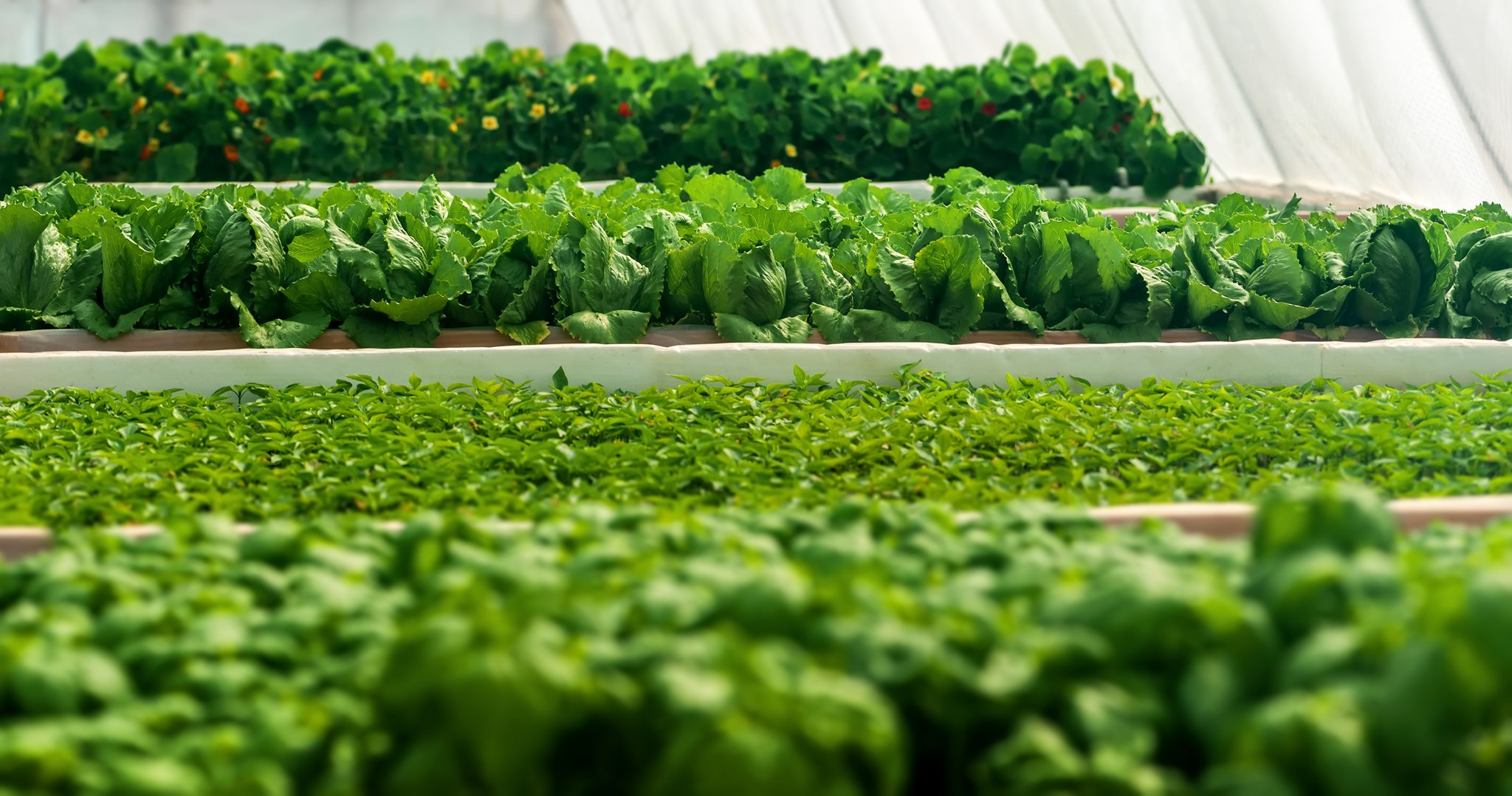 FarmHub