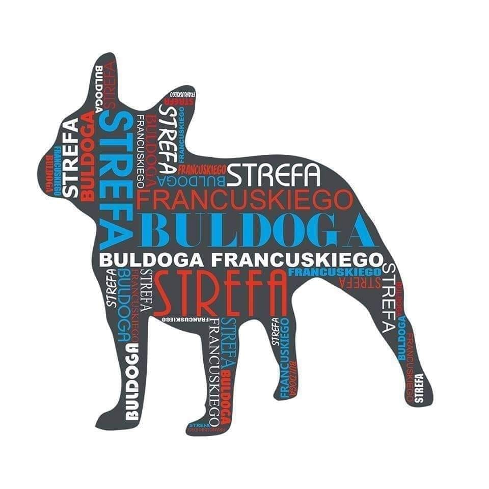 Relacja... - Strefa Buldoga Francuskiego French Bulldog Zone | Facebook