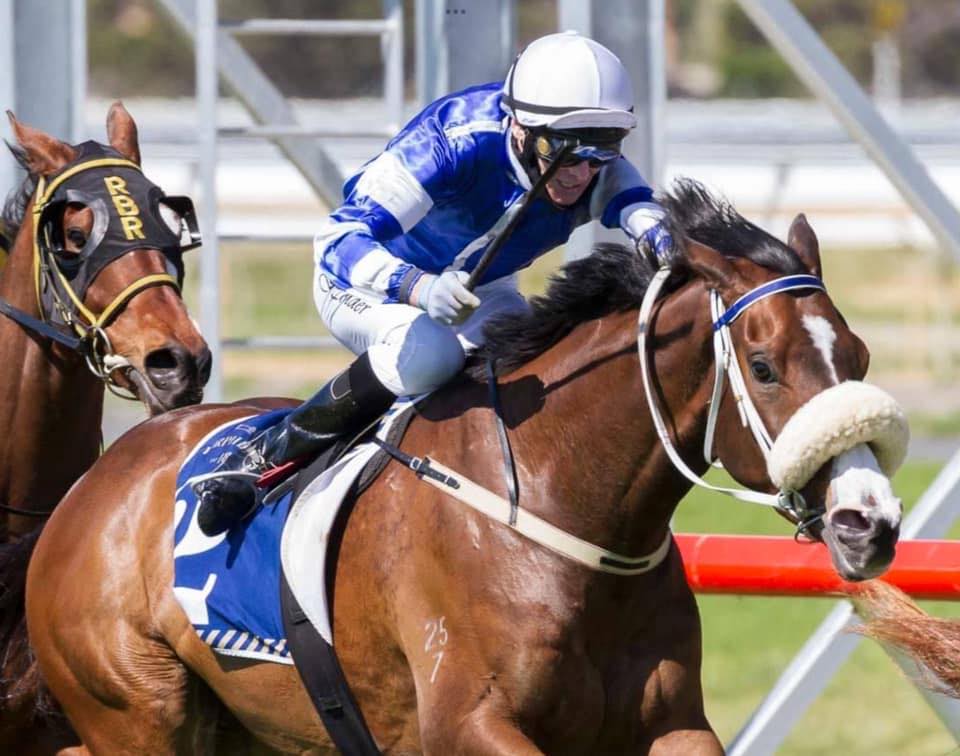 Crown Mint Trained by Richards Moyle Racing