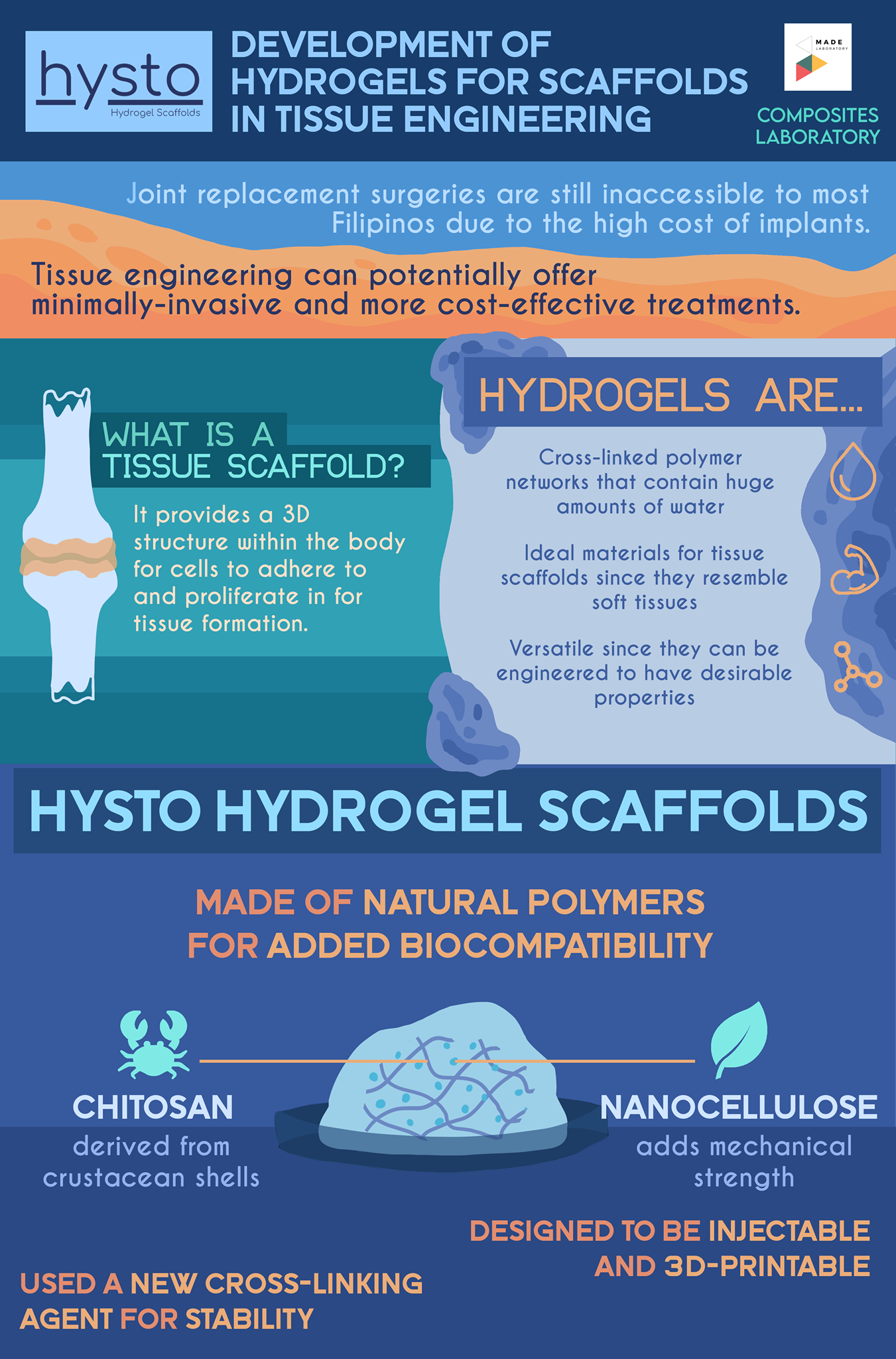 Hysto: Development of Hydrogel Scaffolds for Tissue Engineering Thesis ...