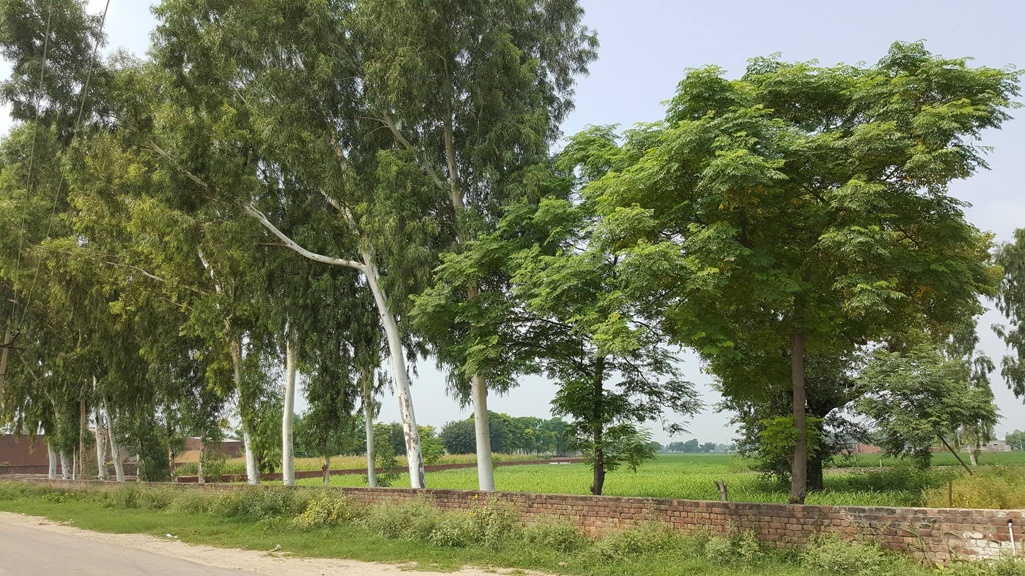 Pind hathur