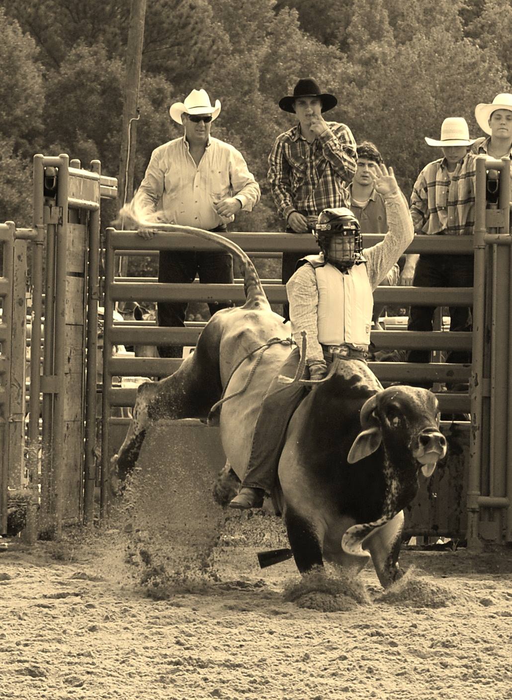 County Line Arena | Hemingway SC