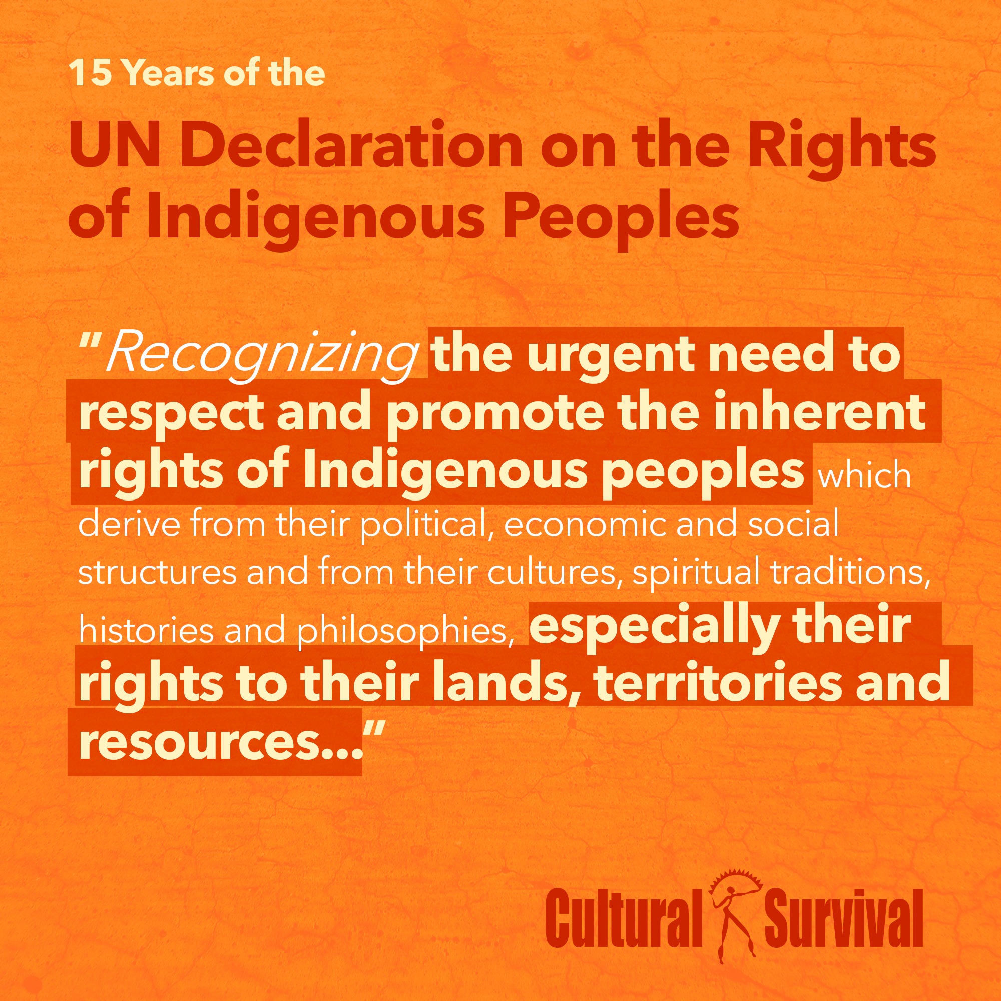 The UN Declaration on the Rights of... - Cultural Survival | Facebook