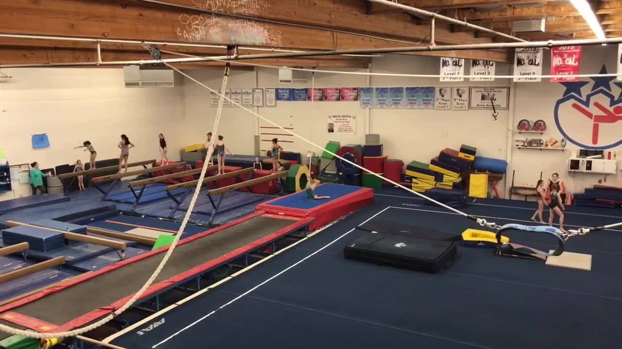 Introducing the 2026–2027 UCF... - University Cheer Force | Facebook