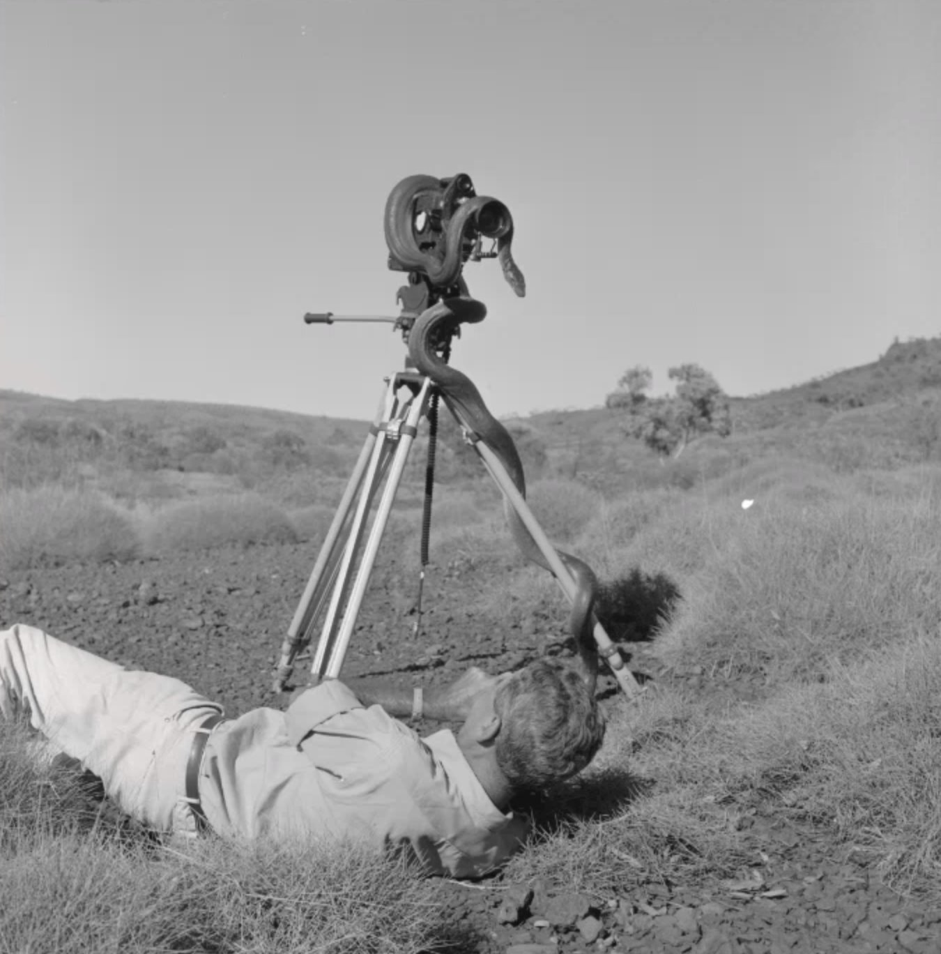 State - 345973PD: Photographer taking a photo of the snake, 1968 ...