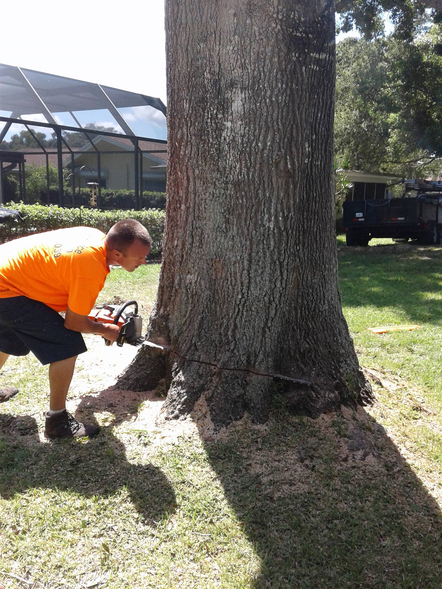 CPL Tree Service and Landscaping | Pinellas Park FL