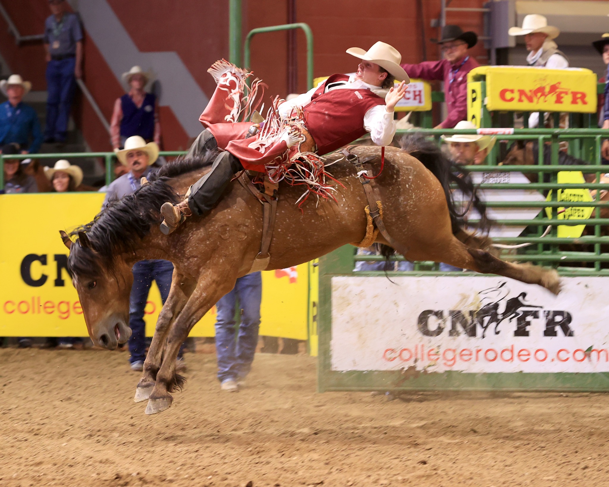 Gavin French... - National Intercollegiate Rodeo Association | Facebook