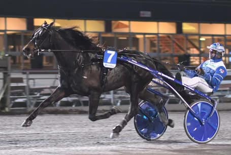 Team Bo Westergaard Danmark