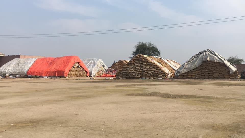 Al-Raheem Rice Mill - Our freshly cultivated rice will nourish you and ...