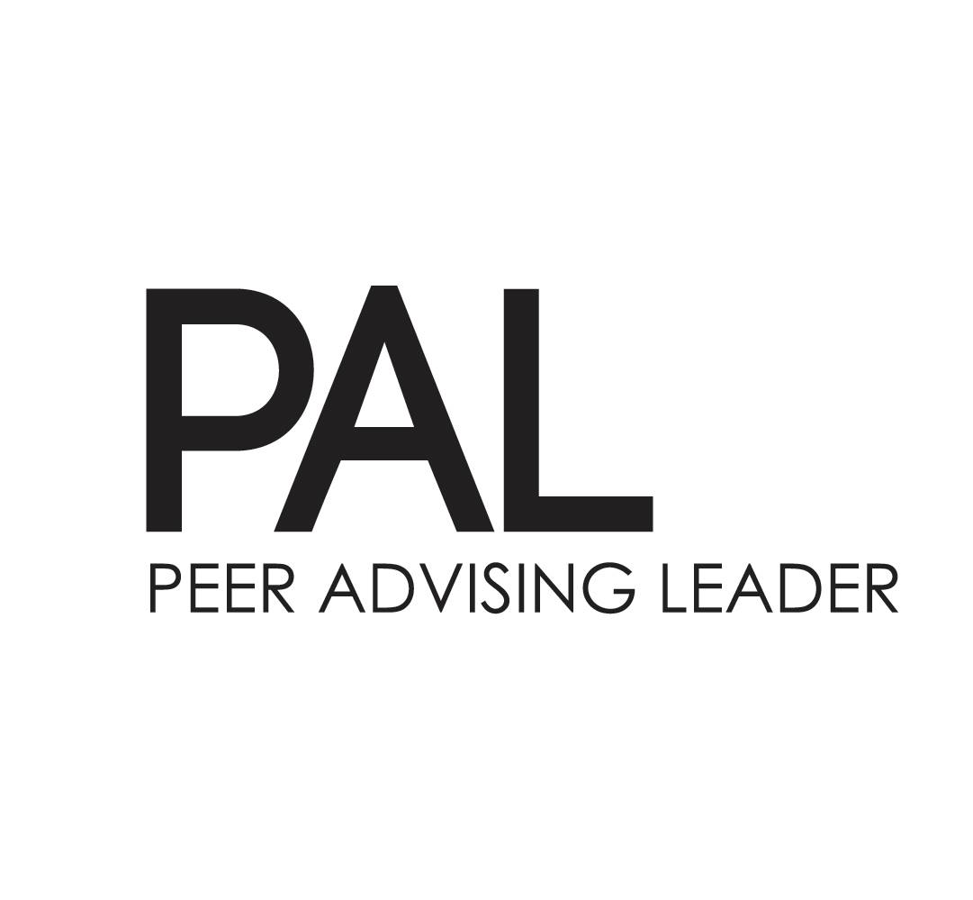 What is a Resume? and How... - AUC Peer Advising Leader - PAL | Facebook