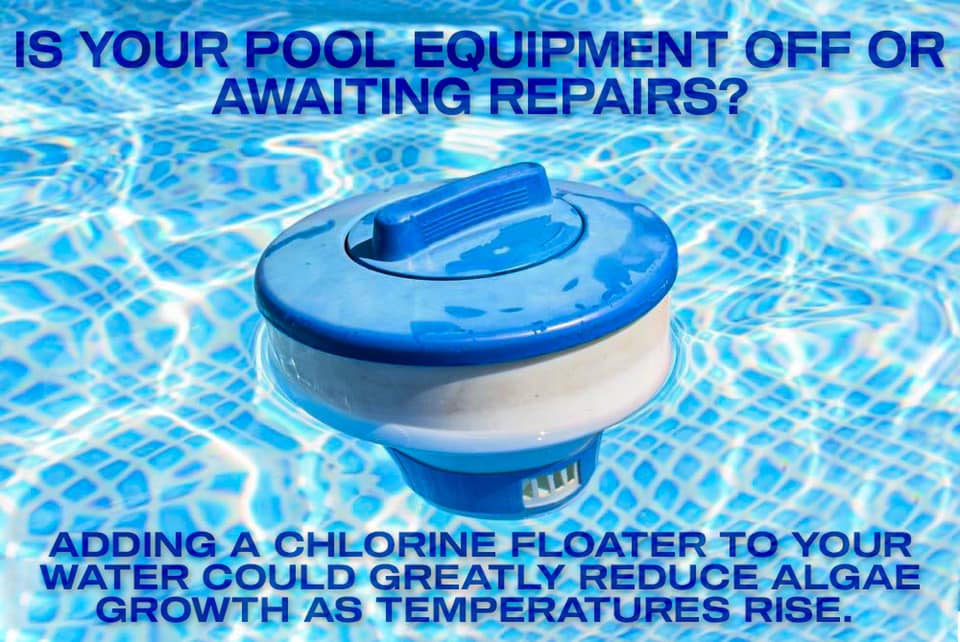AAA Pool Service | Paradise TX