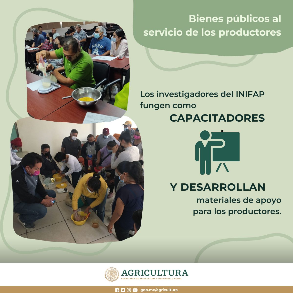 AgriculturaMex - El INIFAP tiene como prioridad el... | Facebook