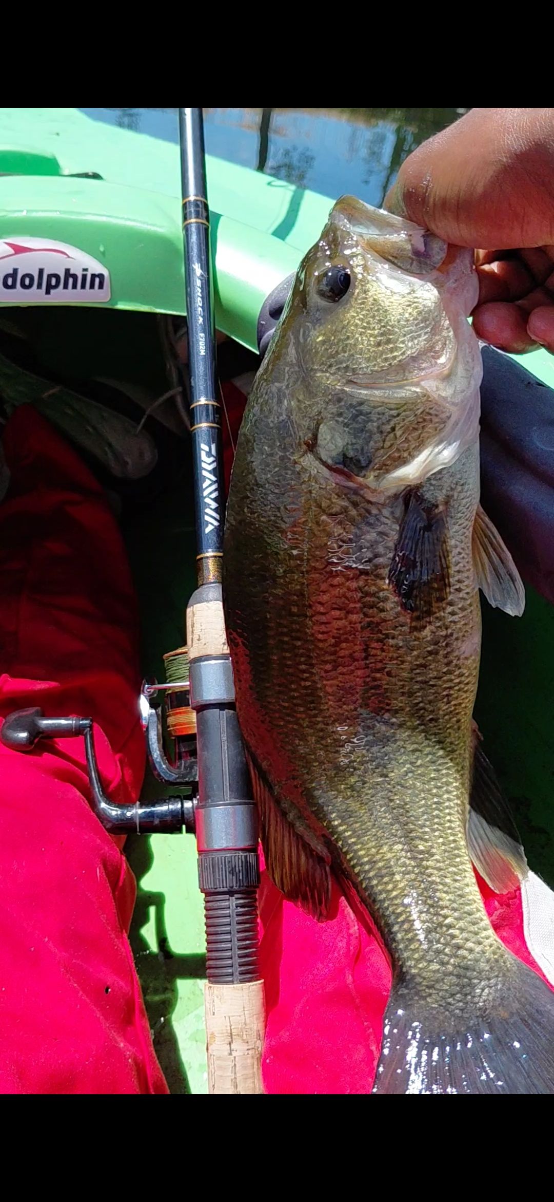 colton fly fishing rods Lamson Cobalt Rod glow jigs Lot - Vintage Pflueger section to allow you Color:The Prosecutor