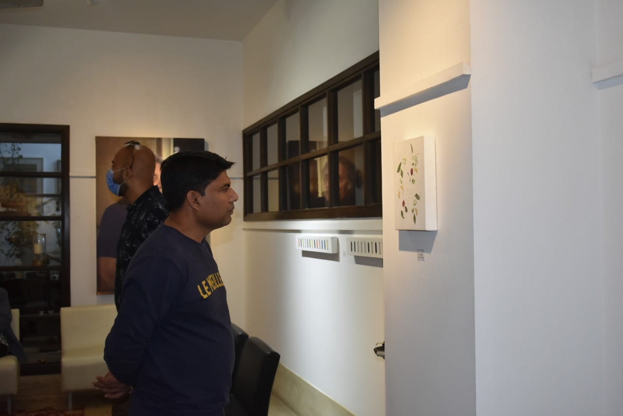 Momart Art Gallery | Karachi