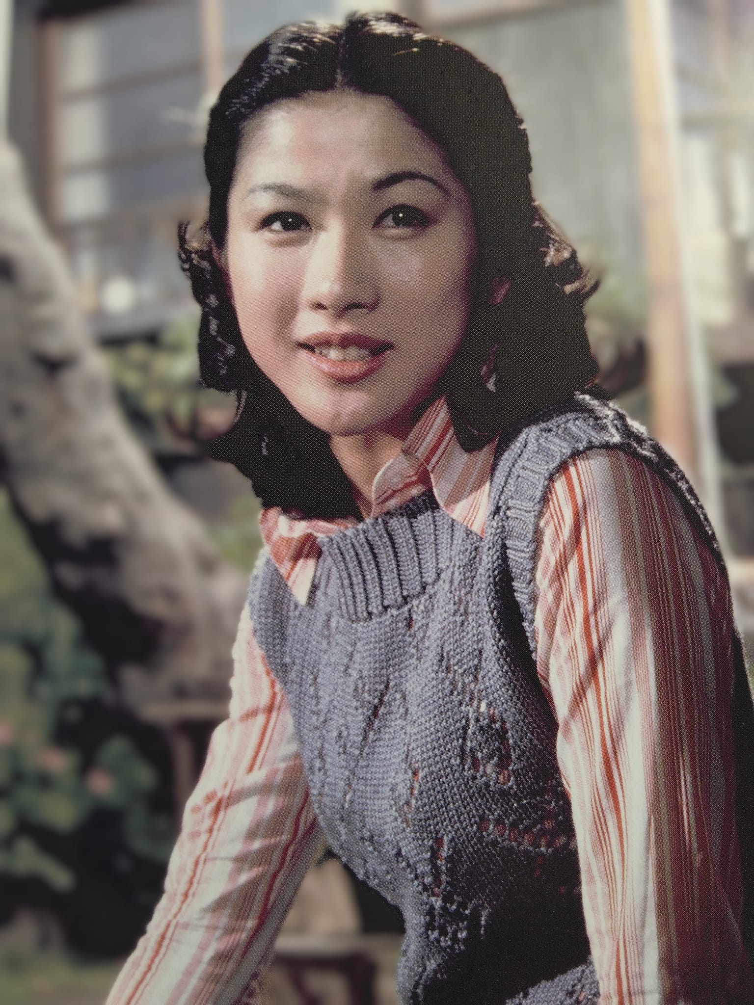 寅さん のマドンナ 役
