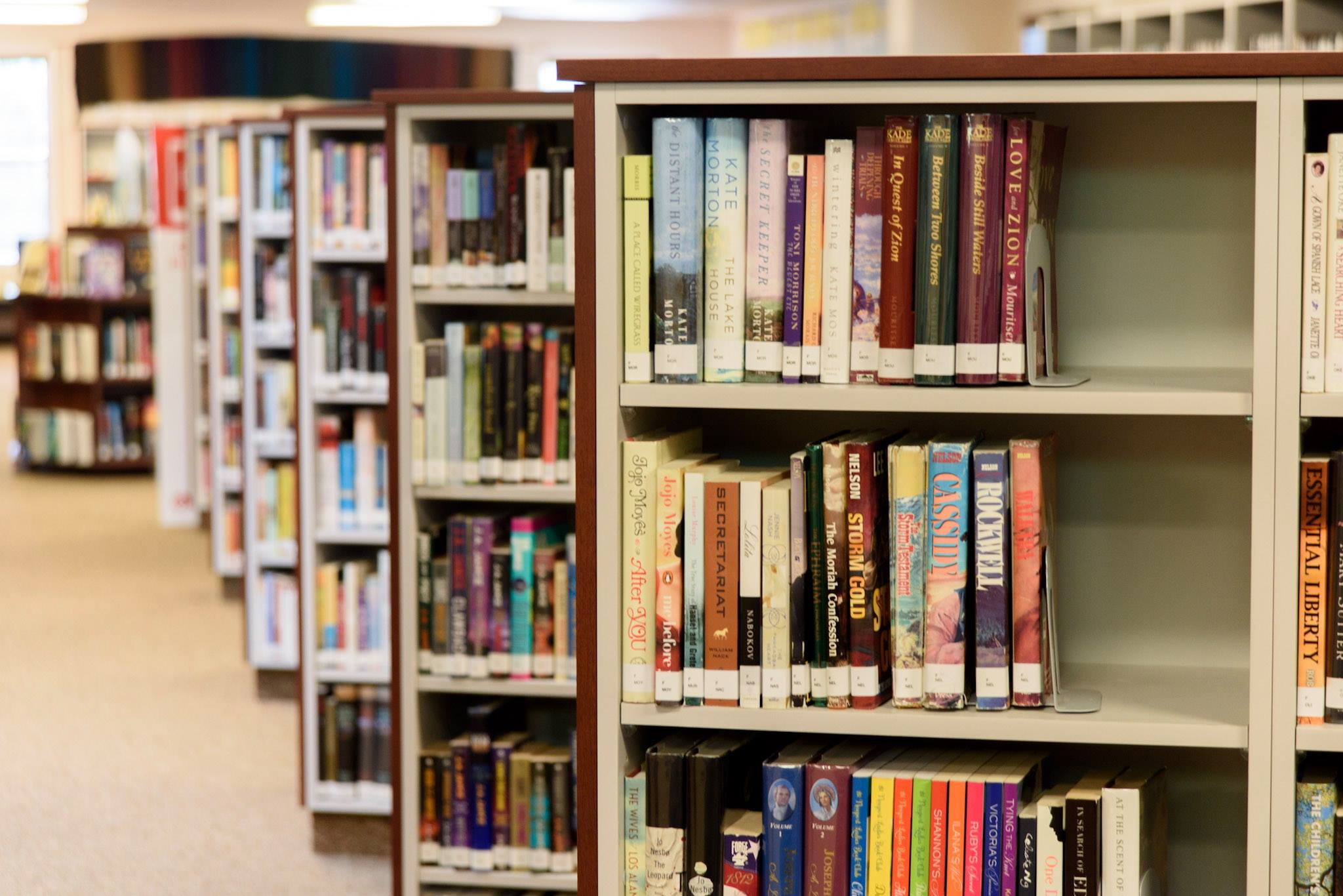 Santaquin City Library added a... - Santaquin City Library