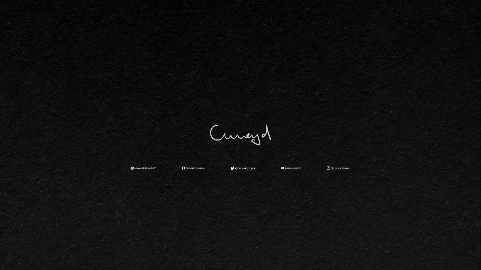 Cuneyd Zapsu