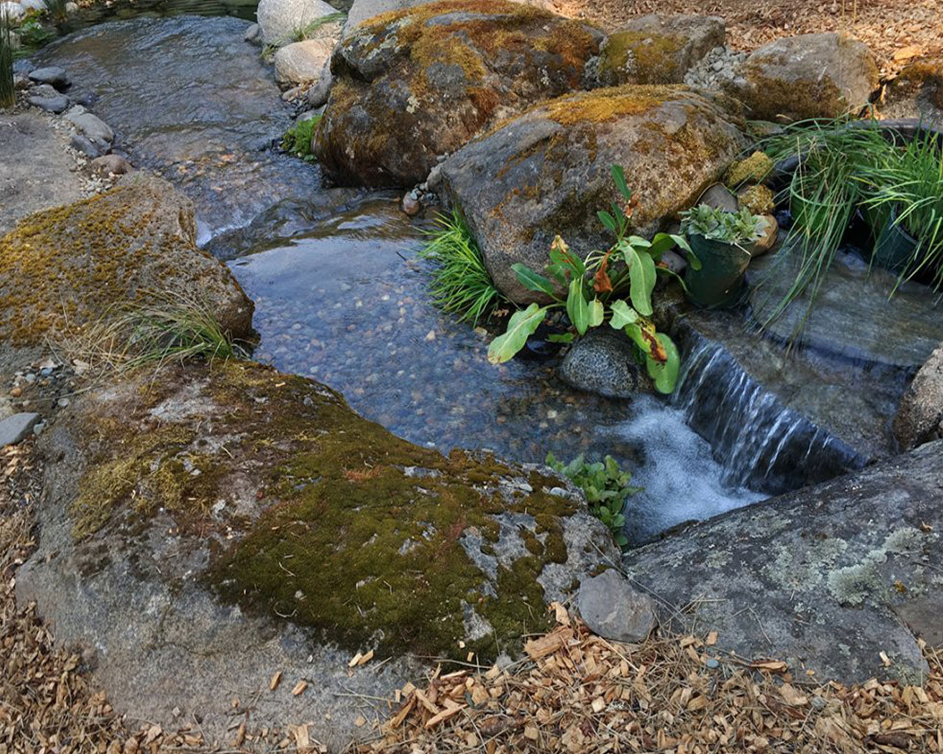 Verne Pershing, The Art Of Gardening - 