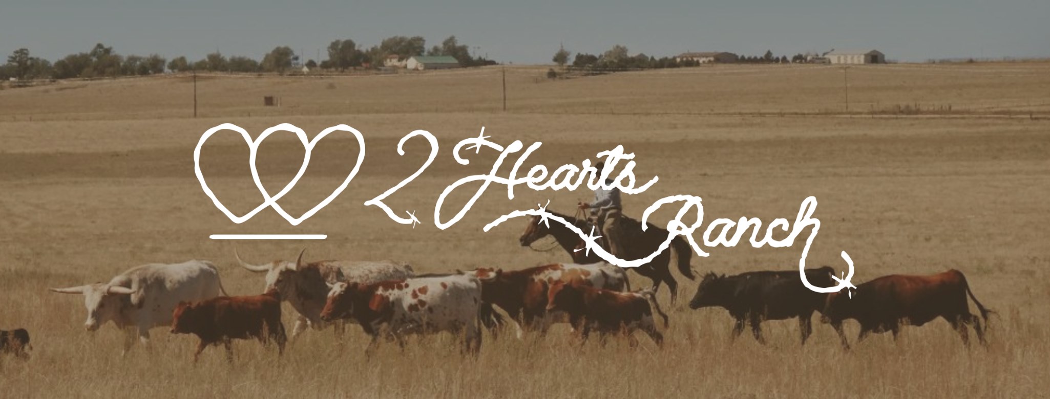 2 Hearts Ranch | Colorado Springs CO