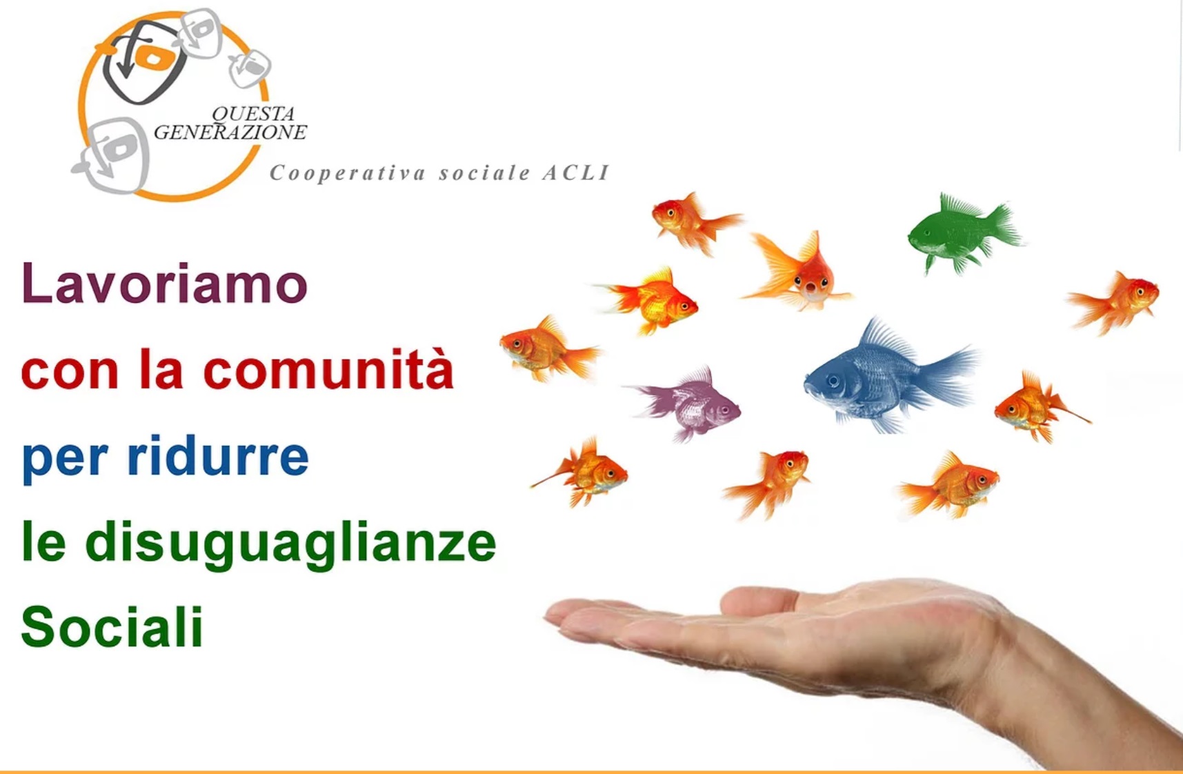 Il Seme Cooperativa Sociale... - Il Seme Cooperativa Sociale