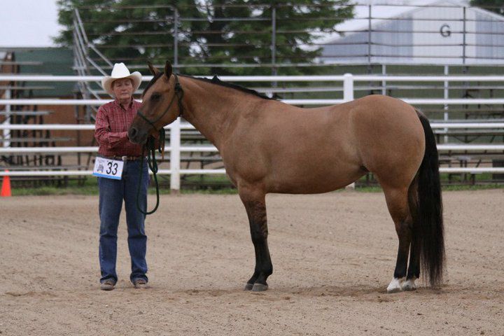Gallery of Legends... - FQHR World Round-Up & Review -WRR | Facebook