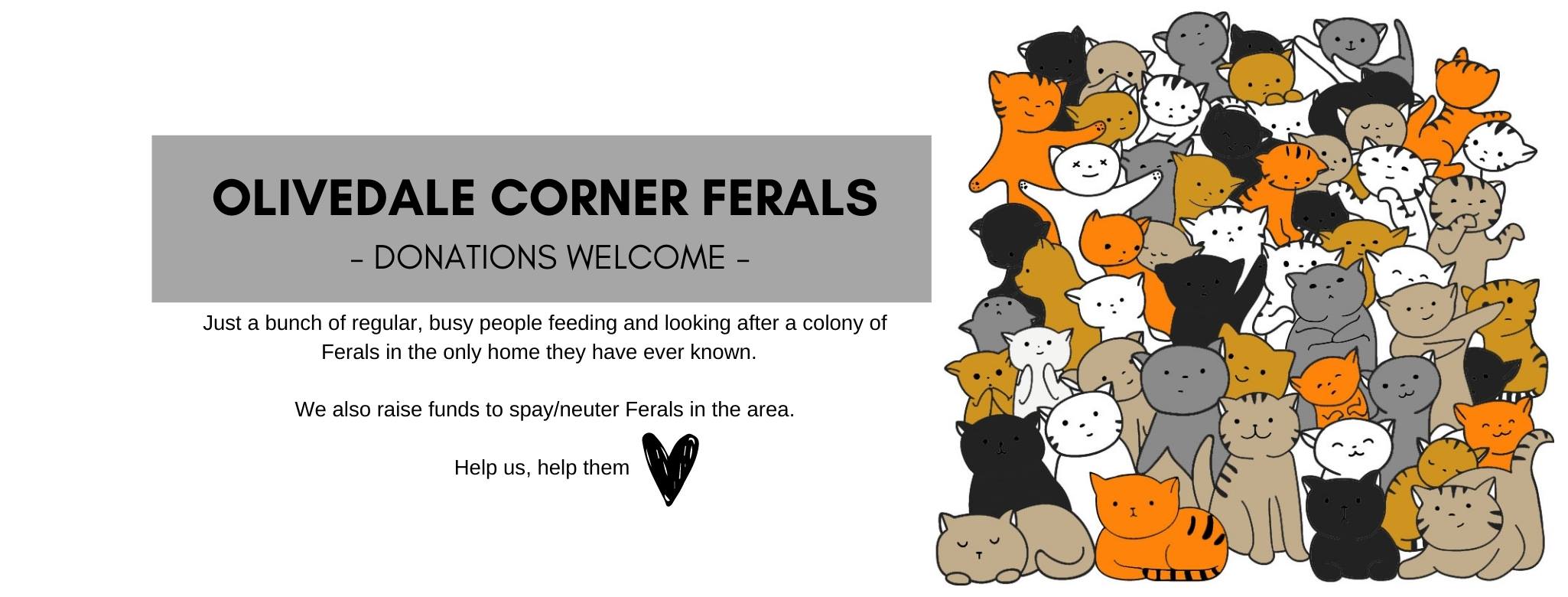Olivedale Corner Ferals | Randburg