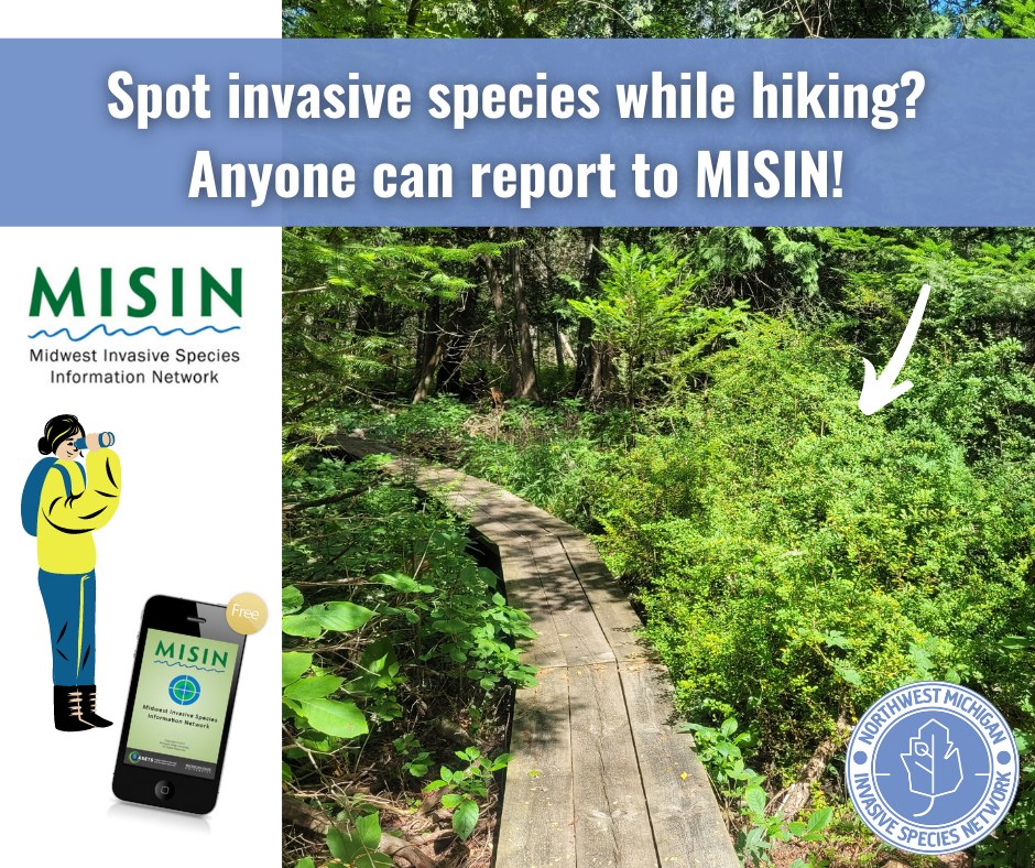 Did you spot an invasive plant today? You can report it using the MISIN ...