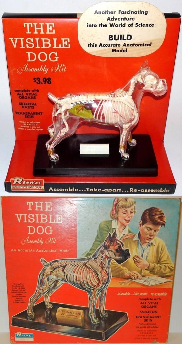 RENWAL レンワル 当時物プラモデル 昔のプラモデル VISIBLE DOG THE VISIBLE DOG Assembly Kit Renwal, 1961 Click for Full Image