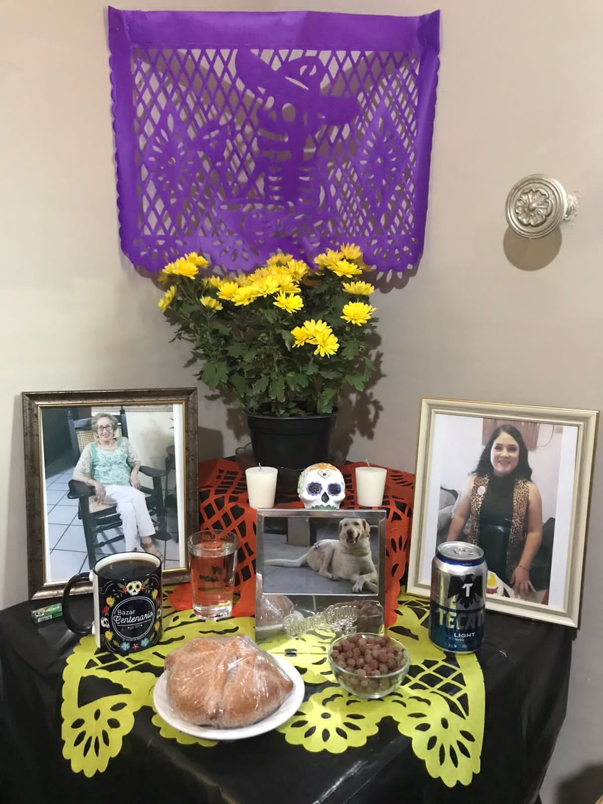 Rotoplas - ¡Gana un Rotolindro este Día de Muertos! ¿Cómo? 1.Síguenos ...