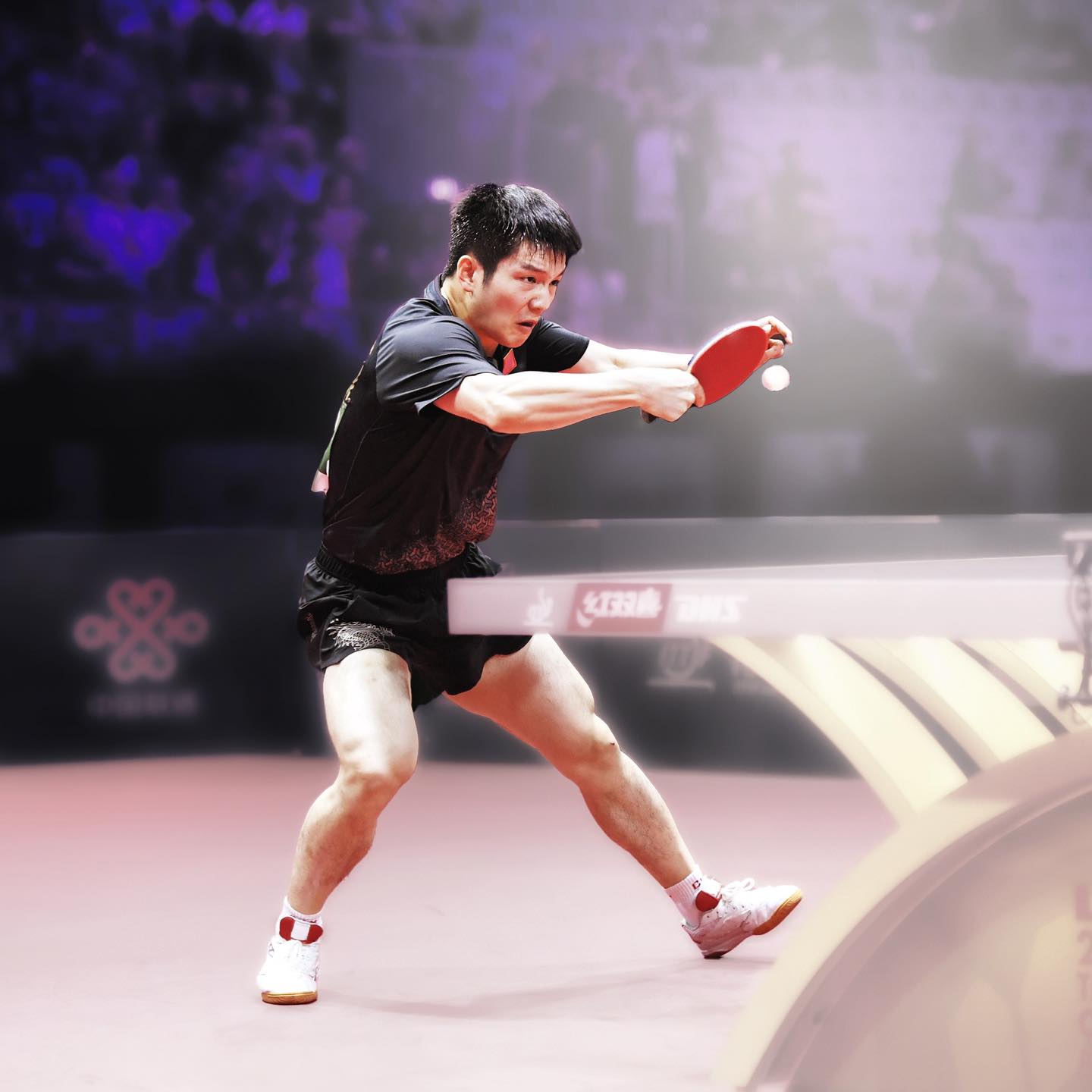Butterfly Pro Fan Zhendong chooses DIGNICS 05 for his backhand 