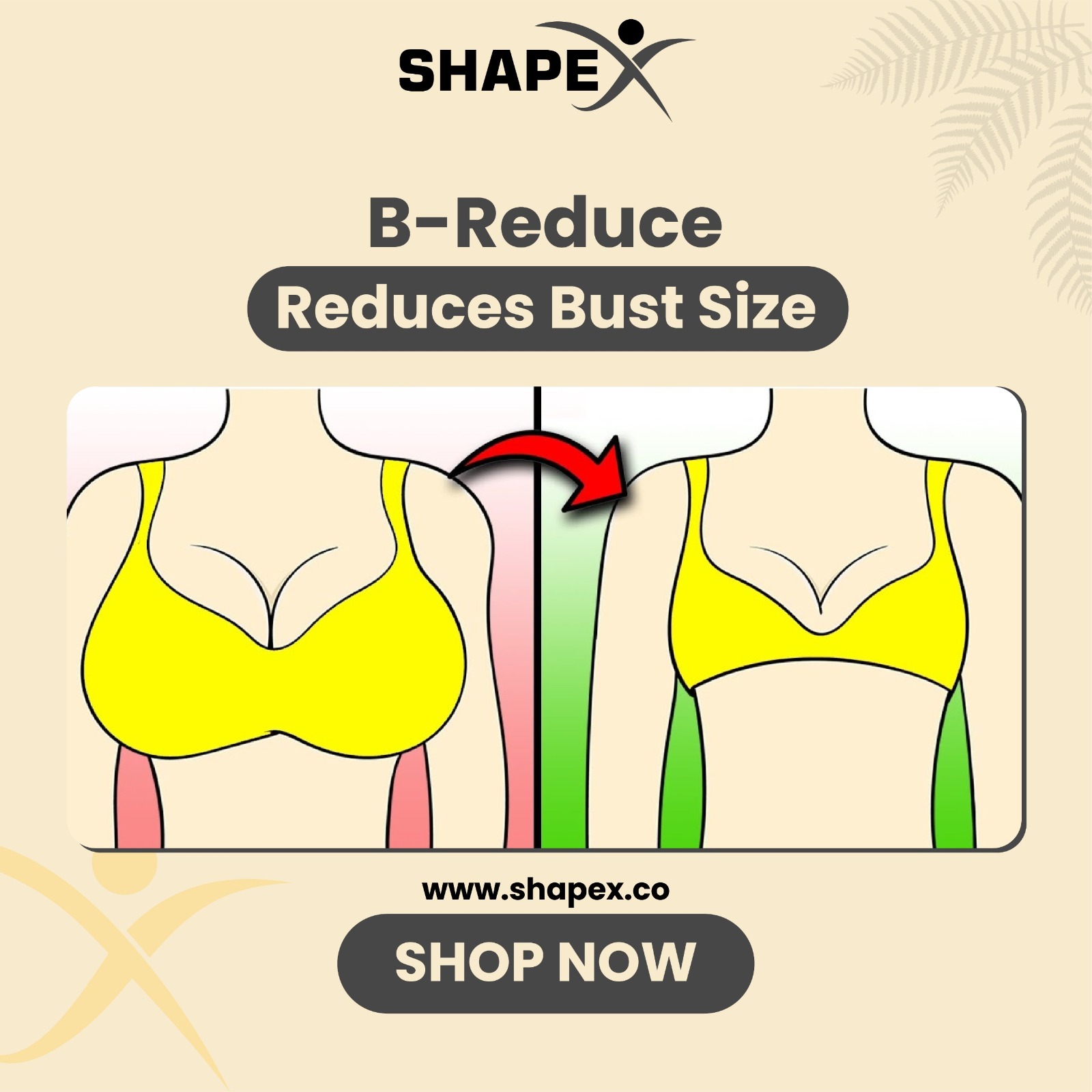 Shapex