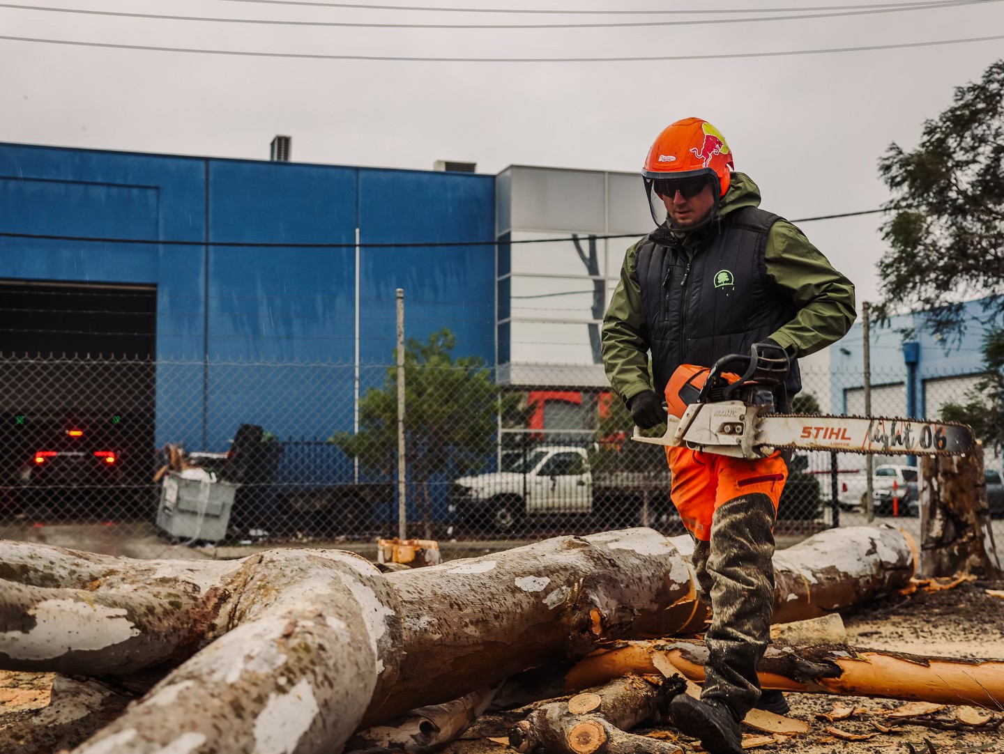 Harrys Yard: Tree Removal & Arborists Melbourne | Melbourne VIC